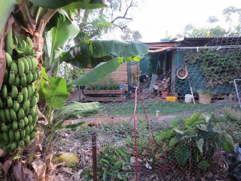 Sapphire QLD 4702