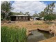 Sapphire QLD 4702