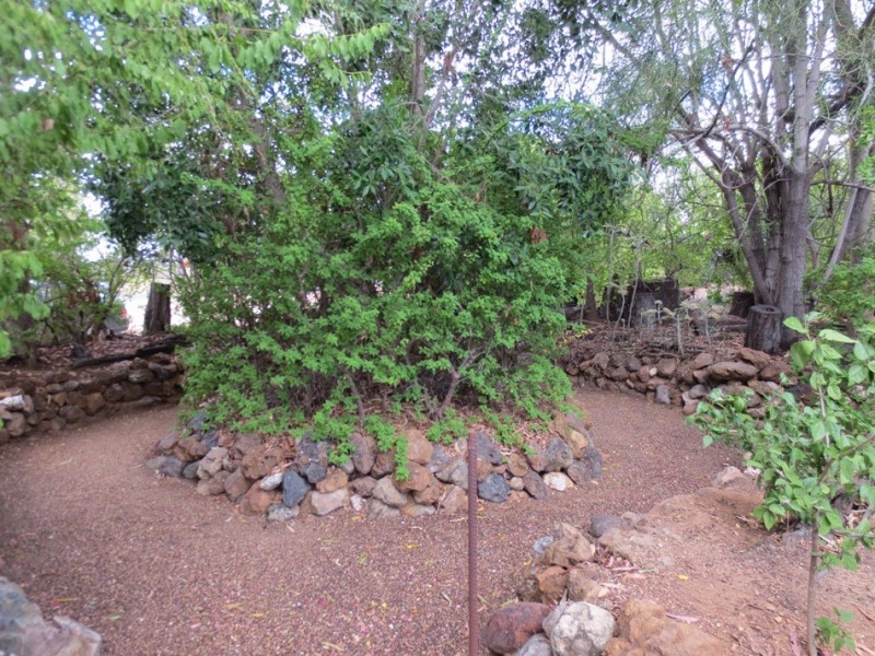 Sapphire QLD 4702