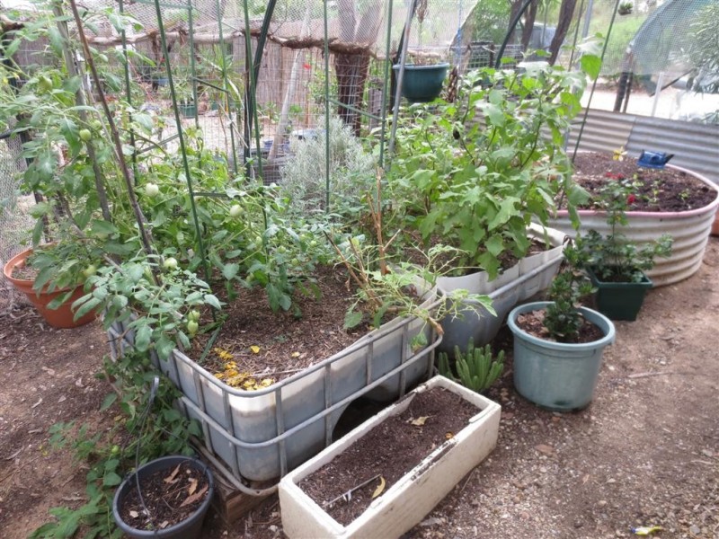 MC 71529 25 Rubyhill Crescent, Sapphire QLD 4702