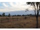 310 Glengallan Road, Emerald QLD 4720