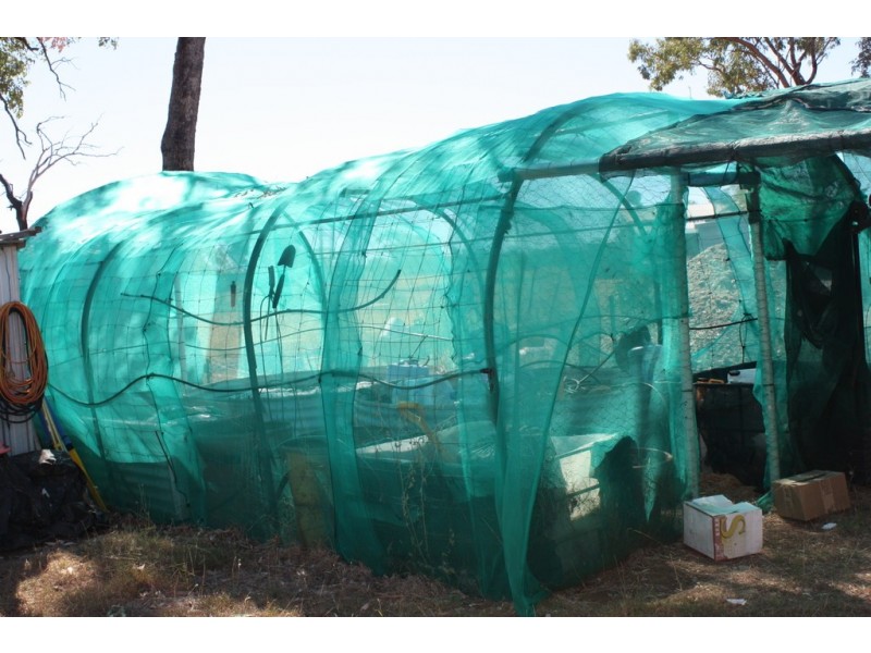 MC 71863 Mt Bullock Road, Sapphire QLD 4702