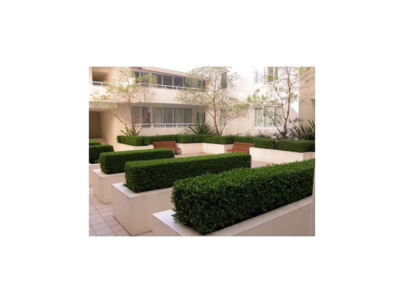 245/25 WENTWORTH STREET, Manly NSW 2095