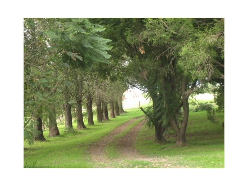 229 Glenarvon Road, Lorn NSW 2320