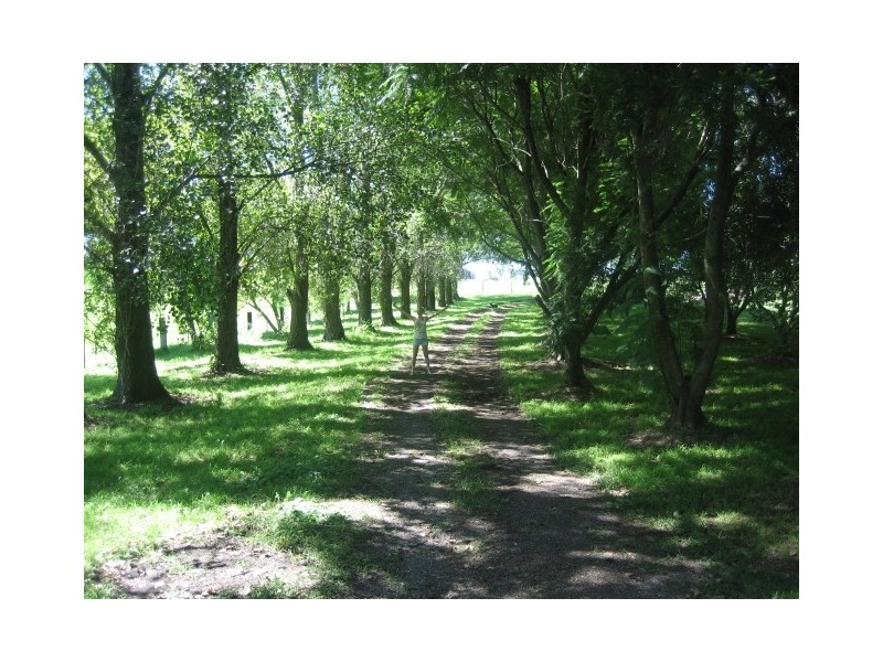 229 Glenarvon Road, Lorn NSW 2320