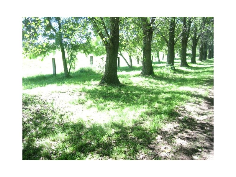 229 Glenarvon Road, Lorn NSW 2320