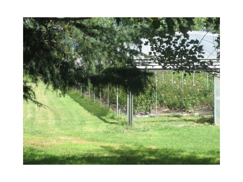 229 Glenarvon Road, Lorn NSW 2320