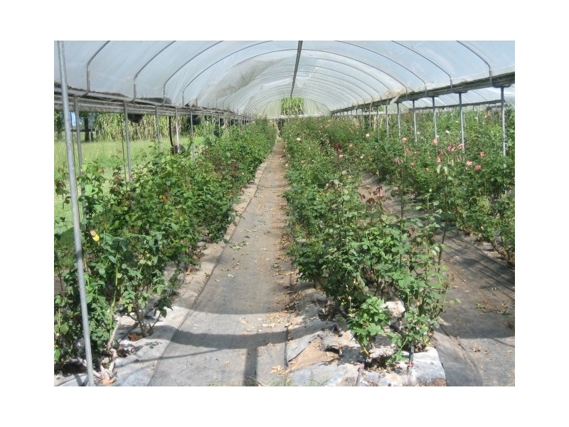 229 Glenarvon Road, Lorn NSW 2320