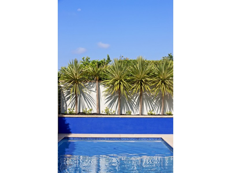 12 Valley View Road, Frenchs Forest NSW 2086