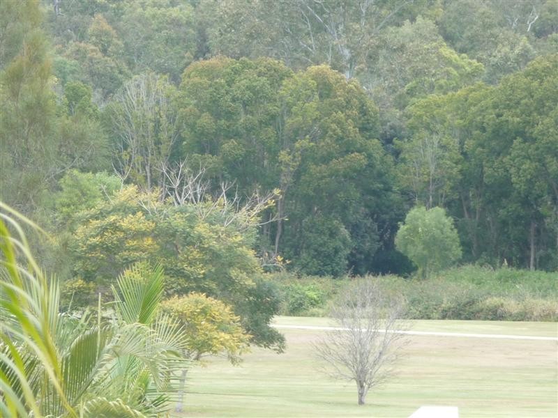 8 Merion Place, Carindale QLD 4152