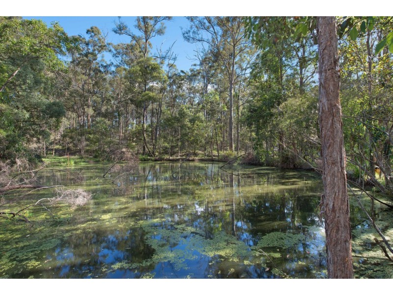 320 Avalon Road, Sheldon QLD 4157