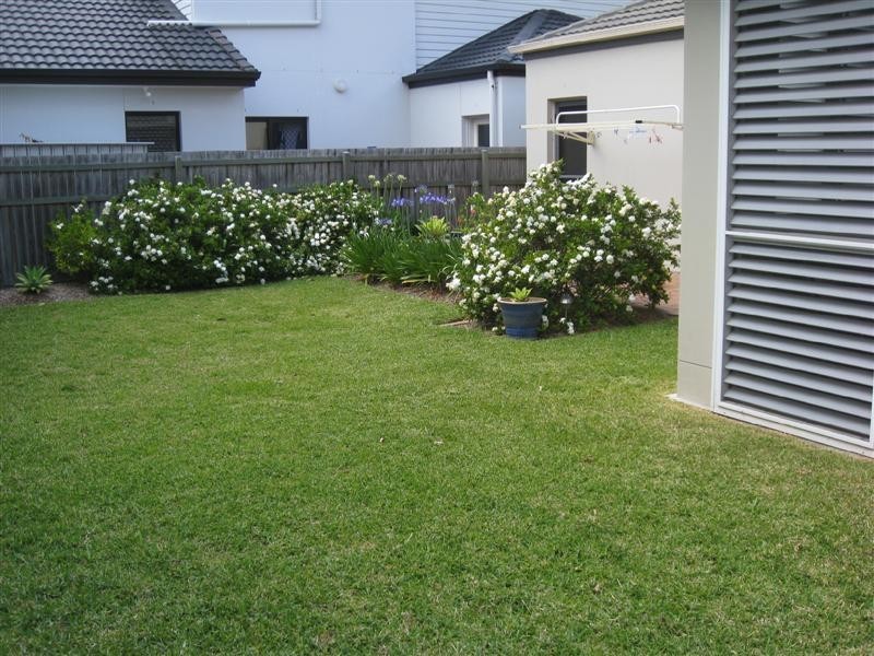 102 Tristania Way, Mount Gravatt East QLD 4122