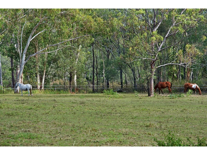 1546 WATERFORD TAMBORINE ROAD, Logan Village QLD 4207