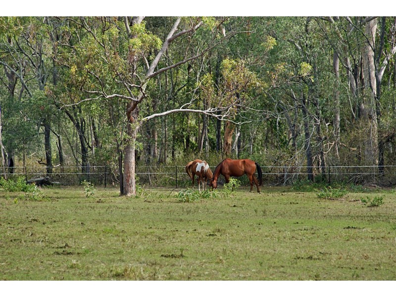 1546 WATERFORD TAMBORINE ROAD, Logan Village QLD 4207