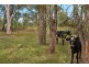 1546 WATERFORD TAMBORINE ROAD, Logan Village QLD 4207