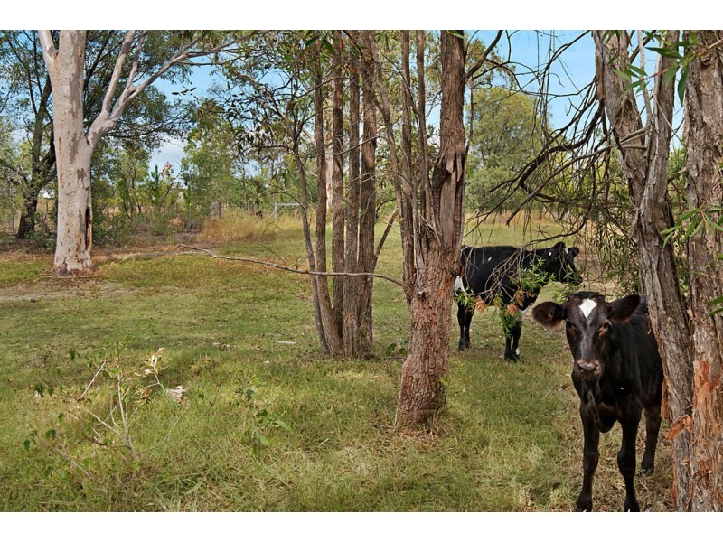 1546 WATERFORD TAMBORINE ROAD, Logan Village QLD 4207