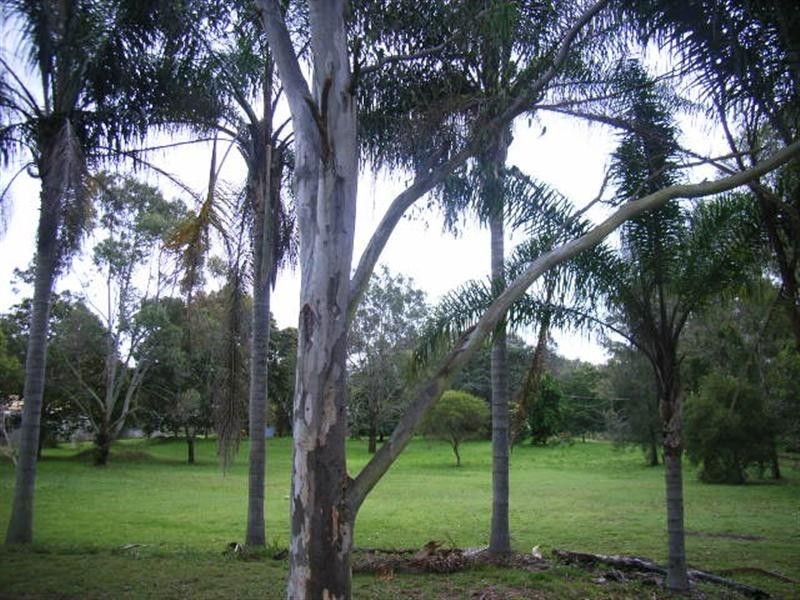 23 Foley Road, Hemmant QLD 4174