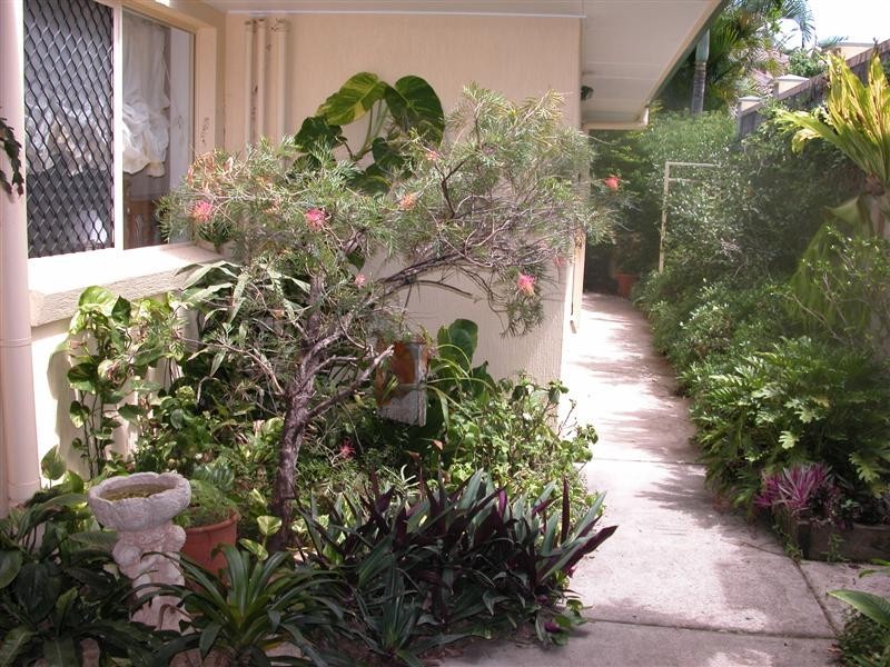 25 Glastonbury Place, Carindale QLD 4152