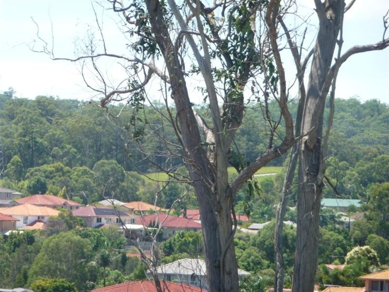 27 Taylor Place, Mackenzie QLD 4156