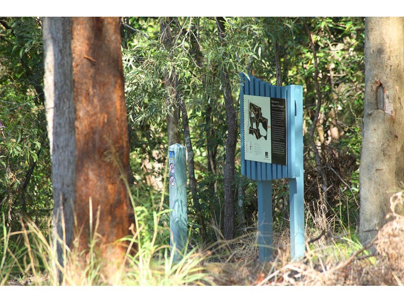 5 Kynuna Place, Carina Heights QLD 4152