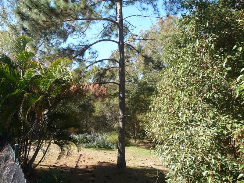 404 Mt Petrie Road, Mackenzie QLD 4156