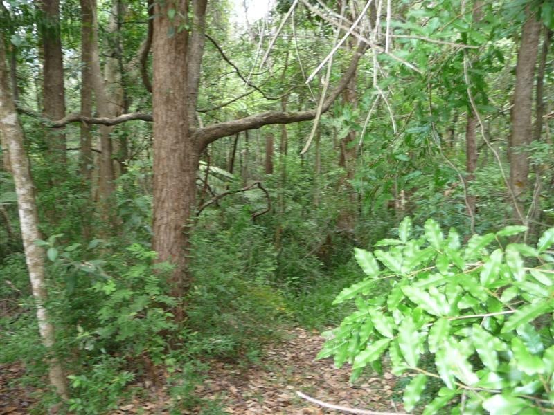 509 Mt Petrie Road, Mackenzie QLD 4156