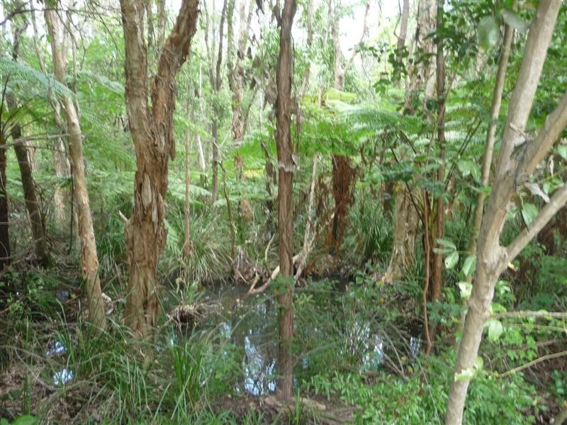 509 Mt Petrie Road, Mackenzie QLD 4156