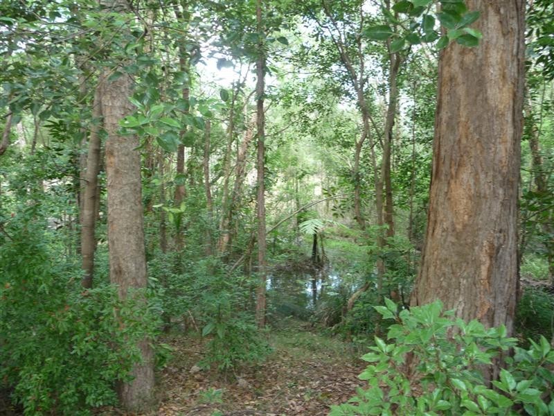 509 Mt Petrie Road, Mackenzie QLD 4156