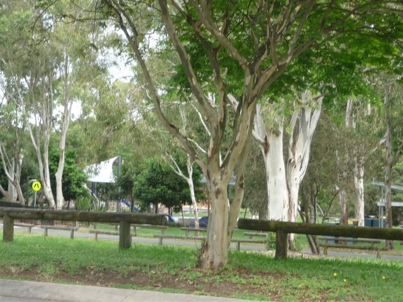 5 Lindisfarne Street, Carindale QLD 4152