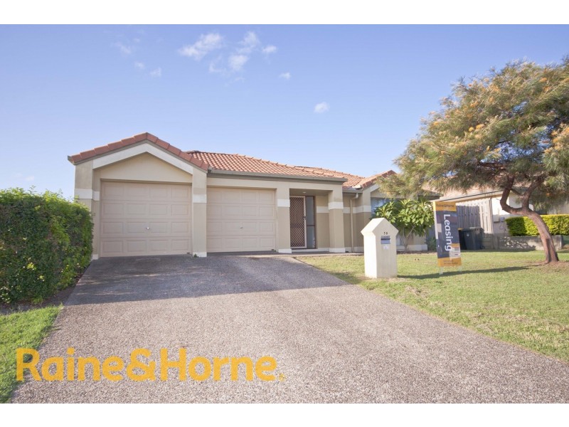 38 Ross Place, Wakerley QLD 4154