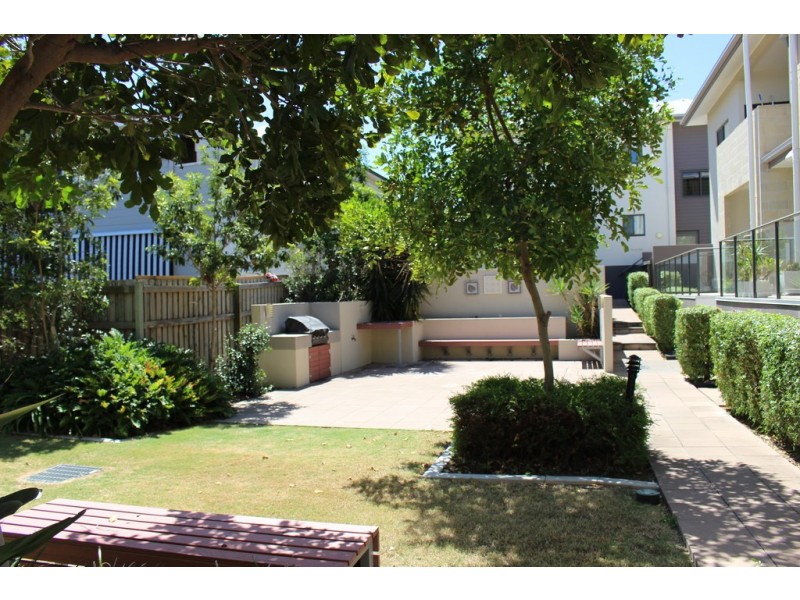 10/71 Dansie Street, Coorparoo QLD 4151