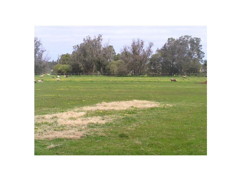 24 Hackett Street, Cookernup WA 6220