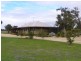 Pauls Block Lot 4 Forestry Road, Myalup WA 6220