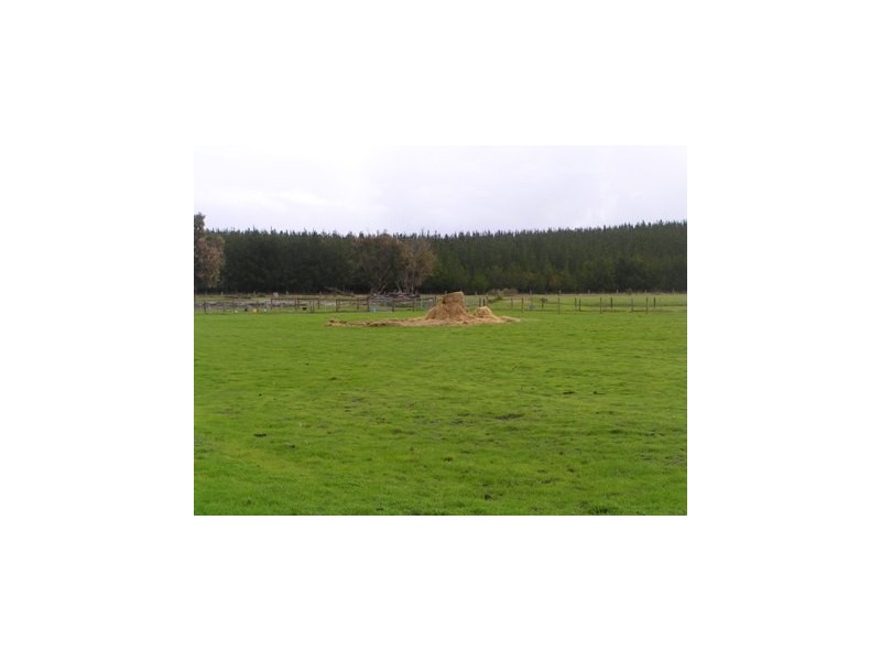 Pauls Block Lot 4 Forestry Road, Myalup WA 6220