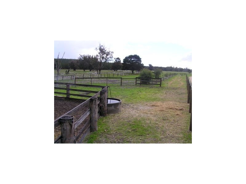 Pauls Block Lot 4 Forestry Road, Myalup WA 6220