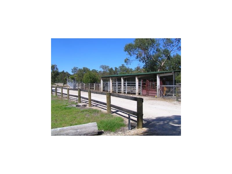Pauls Block Lot 4 Forestry Road, Myalup WA 6220