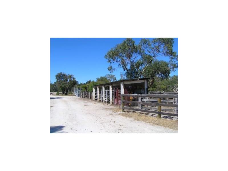 Pauls Block Lot 4 Forestry Road, Myalup WA 6220