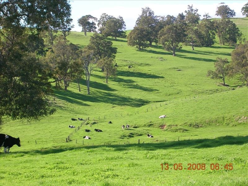 Lot 50 Mornington Road, Wokalup WA 6221