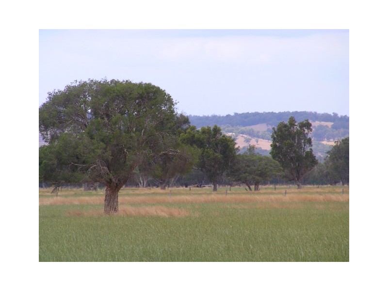 Lot 46 Fouracre Road, Harvey WA 6220