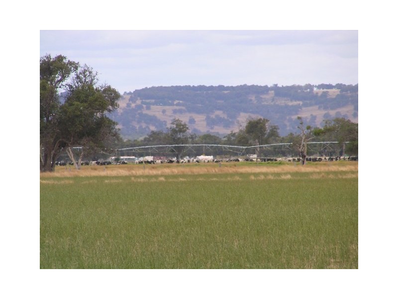 Lot 46 Fouracre Road, Harvey WA 6220