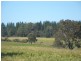 4030 Jalbarragup Road, Walsall WA 6280