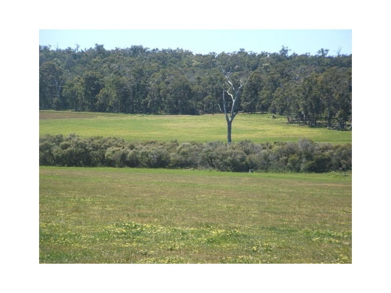 4030 Jalbarragup Road, Walsall WA 6280