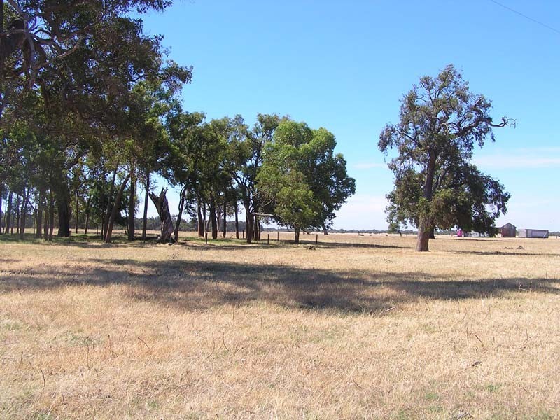 Lot 17 Mitchell Road, Benger WA 6223