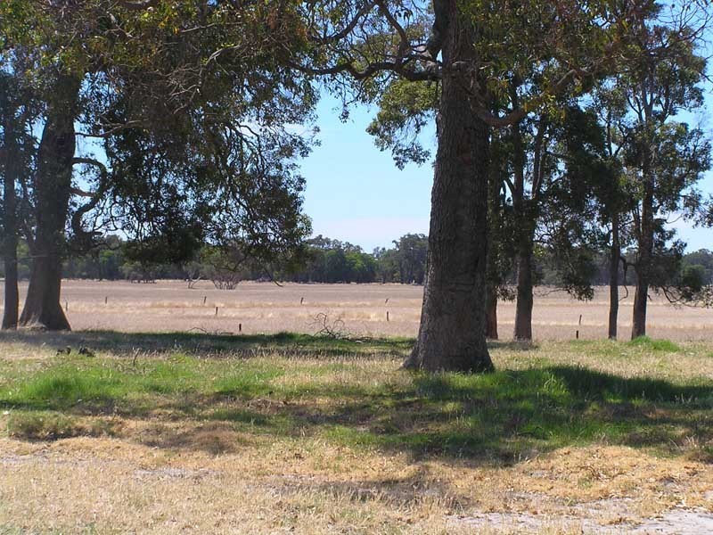 Lot 17 Mitchell Road, Benger WA 6223