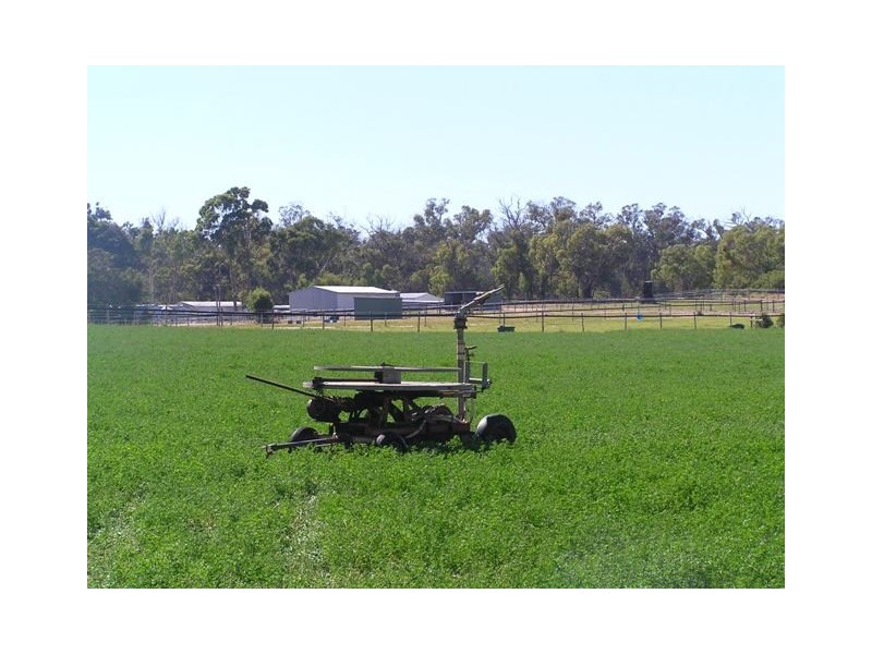 Lot 1175 Old Coast Road, Lake Clifton WA 6215