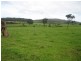 Lot 2076 Walter Pierce Road, Denmark WA 6333