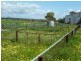 ‘Fairholme Farm’ 1424 Quairading-York Road, Quairading WA 6383