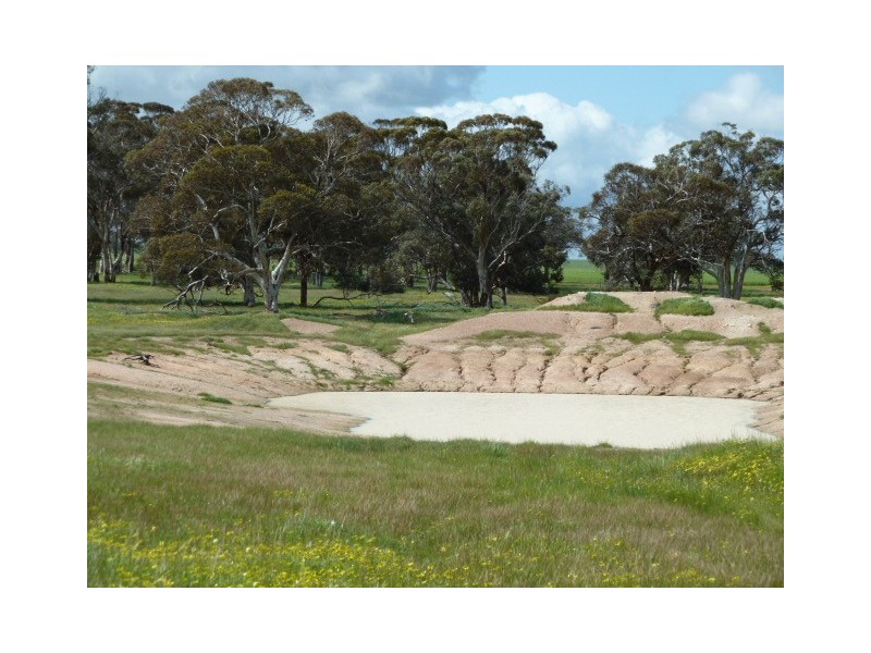 ‘Fairholme Farm’ 1424 Quairading-York Road, Quairading WA 6383