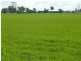 ‘Fairholme Farm’ 1424 Quairading-York Road, Quairading WA 6383