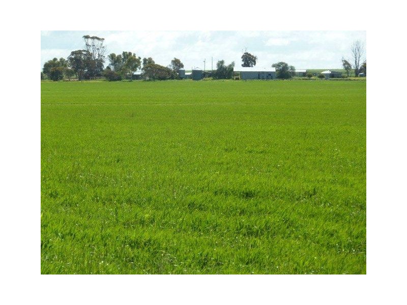 ‘Fairholme Farm’ 1424 Quairading-York Road, Quairading WA 6383